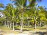 Plot In Gated Community Foot In Sand On Guaiú Beach With Full Infrastructure 5
