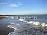 Plot In Gated Community Foot In Sand On Guaiú Beach With Full Infrastructure 14