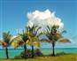 Fantastic Sea Front Land With Beautiful Views 9