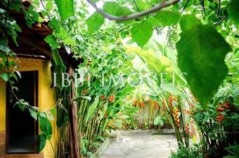 Uma Casa E 02 Quitinetes 5